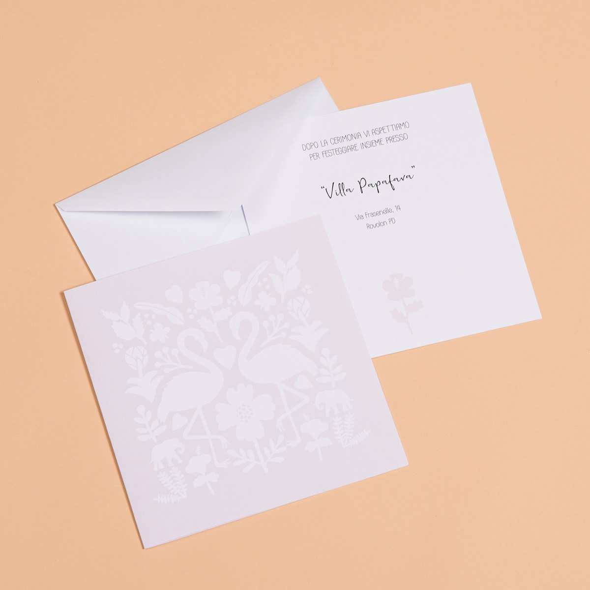 fenicotteri-rosa-cover